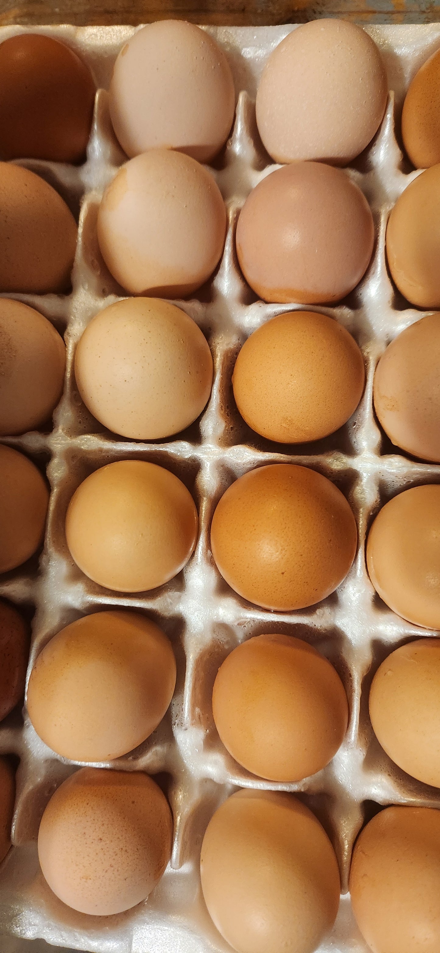 Farm Fresh Eggs